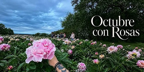 Octubre con rosas