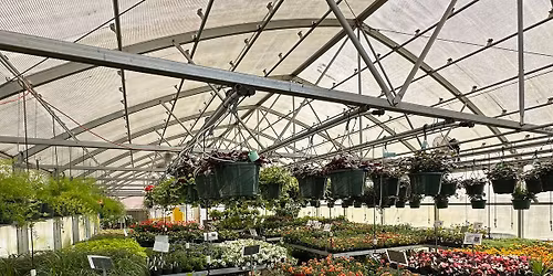 2026 Clarke Central FFA Plant Sale 