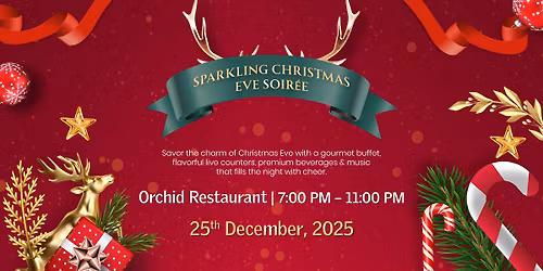 Sparkling Christmas Eve Soir\u00e9e