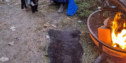 Halloween Journey 2025