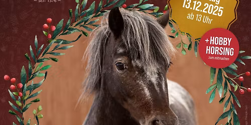 ✨️ Stallweihnacht am Messnerhof ✨️
