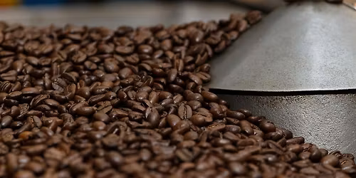 From Chiapas to Your Cup: The human story behind Caf\u00e9 Mam coffee