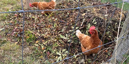 Nov 2025 Club Meeting - Topic TBC Very Soon