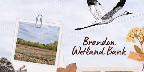 Brandon Wetland Bank Informational Meeting