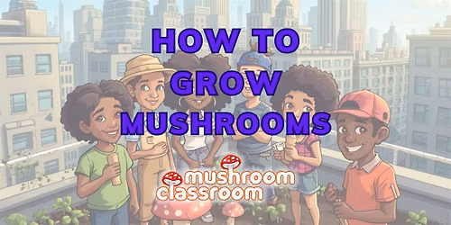 How to Grow Mushrooms Class