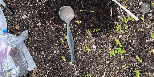 Soil Health Field Day
