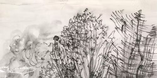 Plein Air Drawing Tour in Strathcona Park