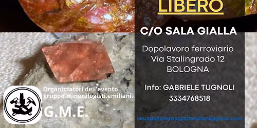 16\u00b0 EDIZIONE FIERA MINERALI FOSSILI E CONCHIGLIE