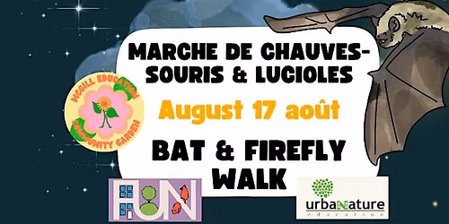 Marche de chauves-souris  #8 \/\/ Bat & Firefly Walk #8