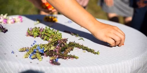 Stage pour adultes "parmi les fleurs" - entre fleurs comestibles et tisanerie