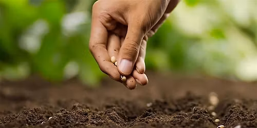 Native Plant Winter Sowing Party