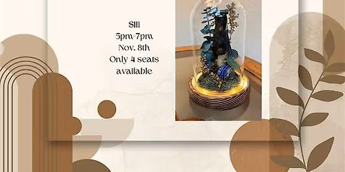 Bat terrarium workshop