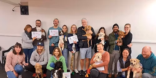 Puppy Preschool Classes