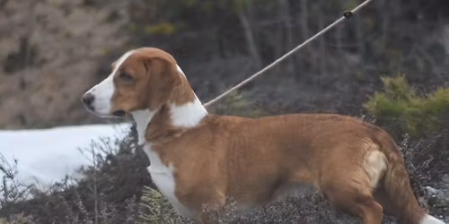 Kalajoen Ryhm\u00e4n\u00e4yttely 5, 6, 7 ja 8