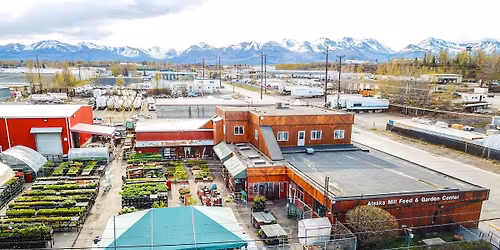 Birch Tree Tapping Class