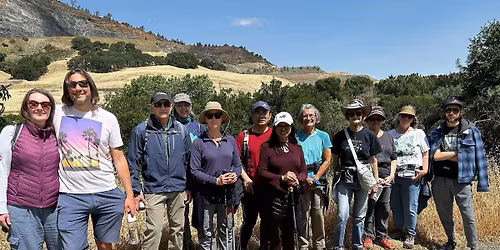 Wildflower Hike - Mitchell Canyon