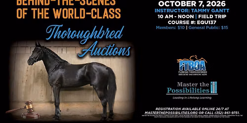 Behind the Scenes of the World-Class Thoroughbred Auctions