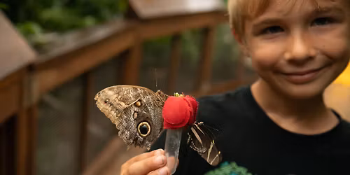 BHA Member Appreciation Day 