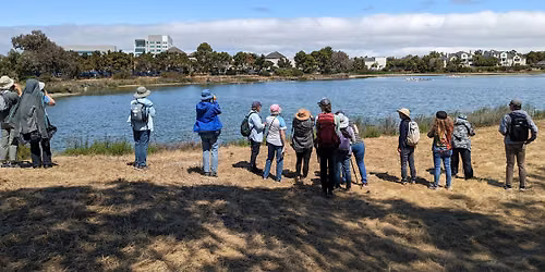 Nob Hill Pond