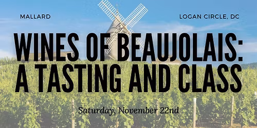 Wines of Beaujolais: A Wine Tasting and Class