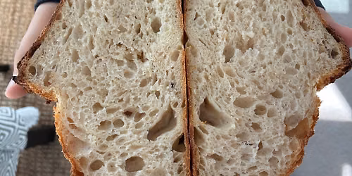 \ud83e\udd56 The Sourdough Accountant - Sourdough Workshop \ud83e\udd56