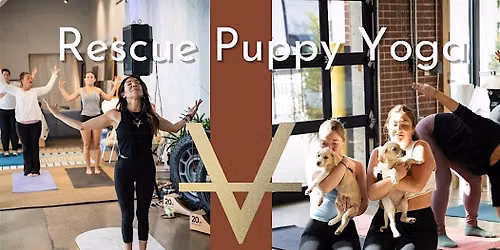 Rescue Puppy Yoga!