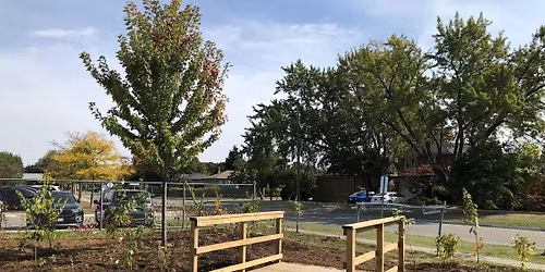 Rain Garden Maintenance