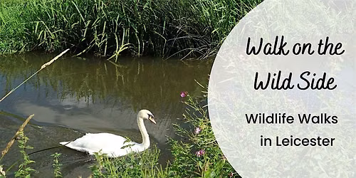 Wildlife Walk: A Walk on the Wild Side \u2013 Aylestone Meadows