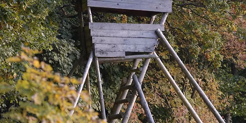 Wie baut man einen Hochsitz?