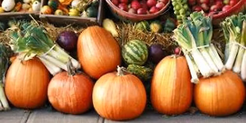 HSS Annual Community Friendsgiving: Everyone Welcome