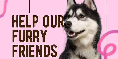 Help Our Furry Friends: Aura Collective x QC Paws