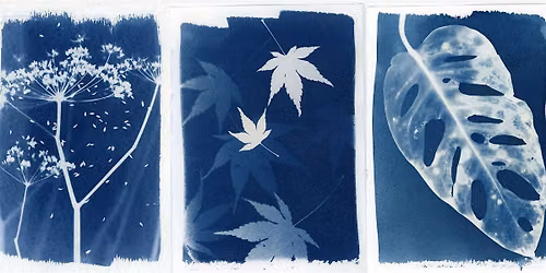 Analog Week | Cyanotype Workshop with The Forest Blues