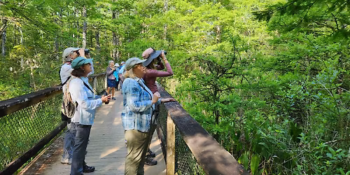Guided Walk: CREW Bird Rookery Swamp