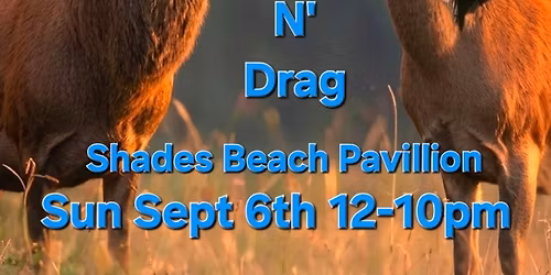 BrAmandas Stag and Drag