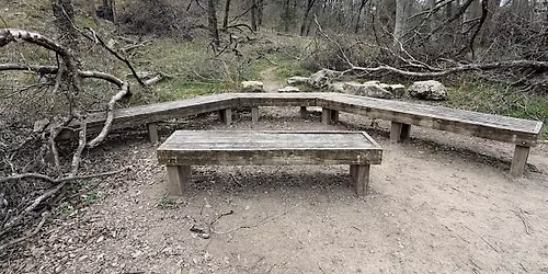 Nature Heals Collective: A Guided Nature Immersion for Stress Relief