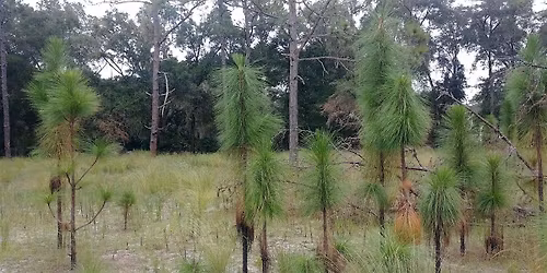 Natural Areas W**d Management Pesticide Safety Course