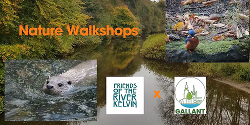 Nature Walk - Otters and Kingfishers with FORK and GALLANT