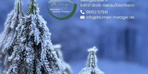 Weihnachtswelt der G\u00e4rtnerei und Blumen-Pavillon Metzger