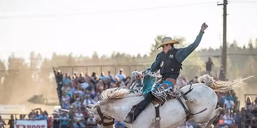 Brash Rodeo Summer Series