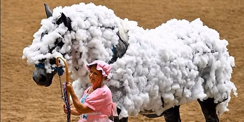 Draft Horse Dress Up