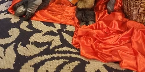 Pictures with Krampus!