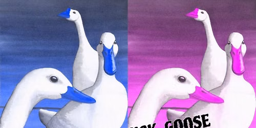 Duck, Duck, Goose Fun Day