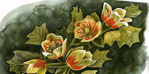 Watercolor for Beginners: Spring Petals