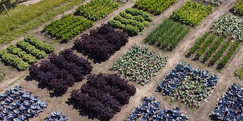 Thursday lunch: Can small \u201cpixels\u201d be the answer for future farming?