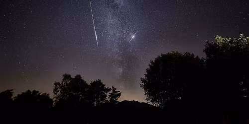 Magical Night 'Awe-Walk' to see the Geminids Meteor Shower