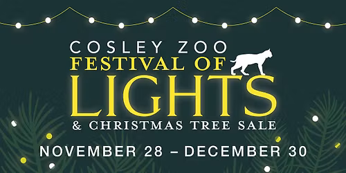 Cosley Zoo Festival of Lights and Christmas Tree Sale