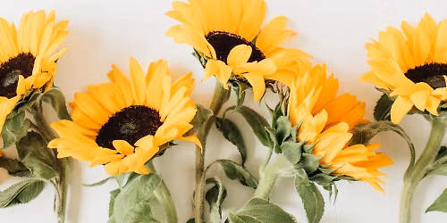 Sunflowers & Citrus Design Class - Grand Rapids Location