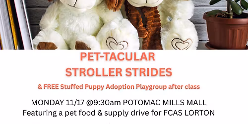 PET-TACULAR Stroller Strides and Puppy Adoption Fundraiser
