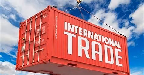 Government & Strategic Resources for International Success