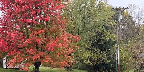 Class: Fall Planting
